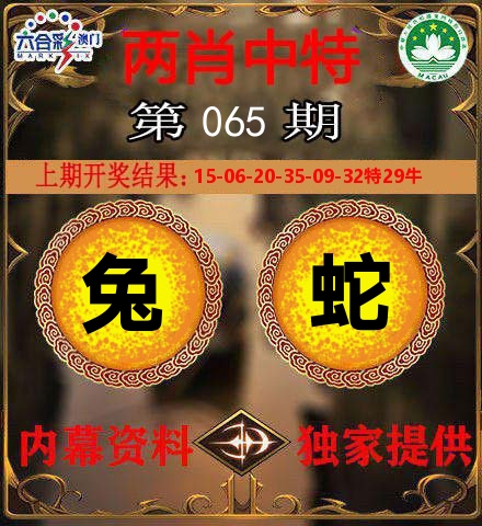 两肖中特 第65期