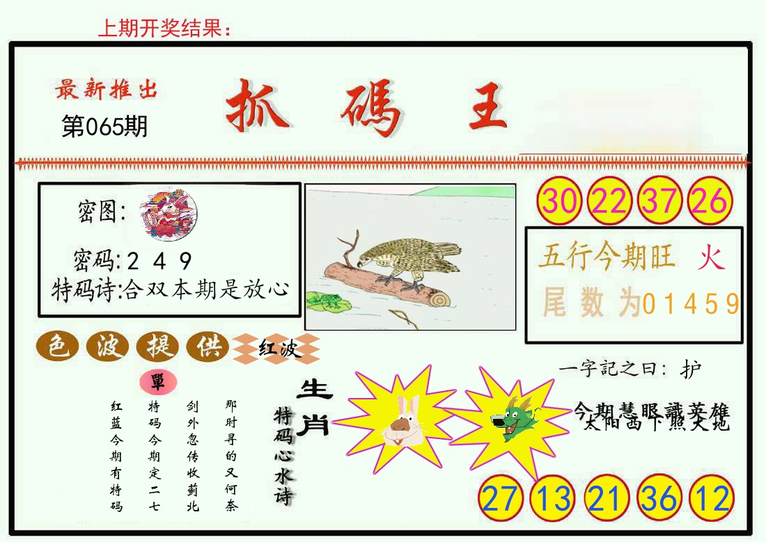 最新抓码王 第65期