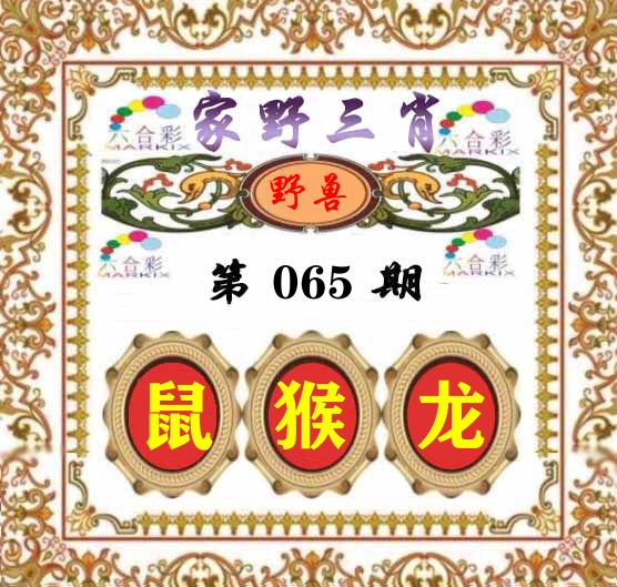家野三肖 第65期