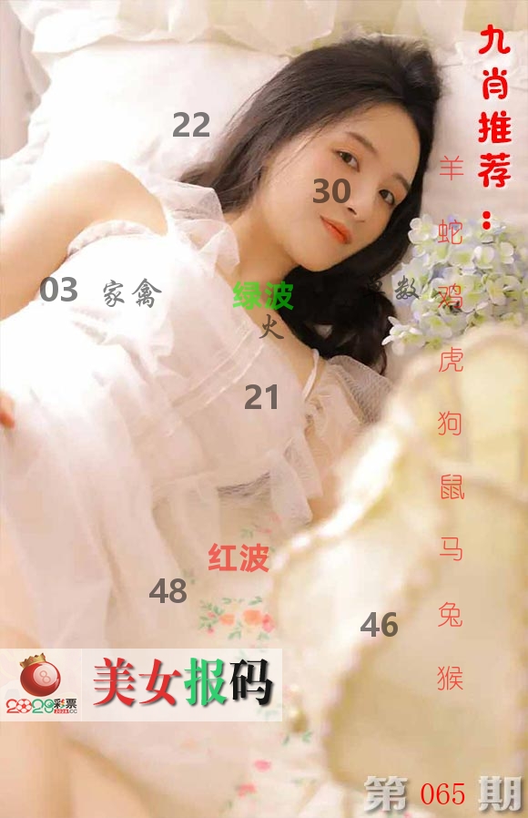 美女报码 第65期