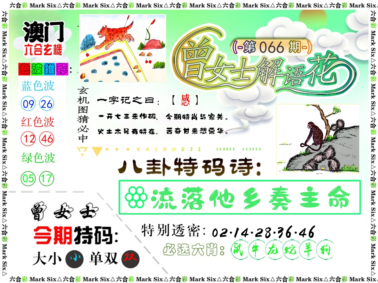 曾女士解语花 第66期