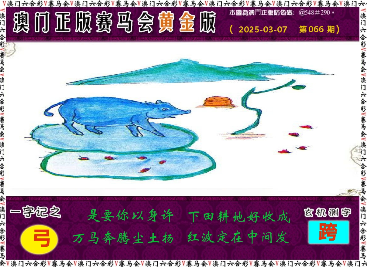 赛马会黄金版 第66期