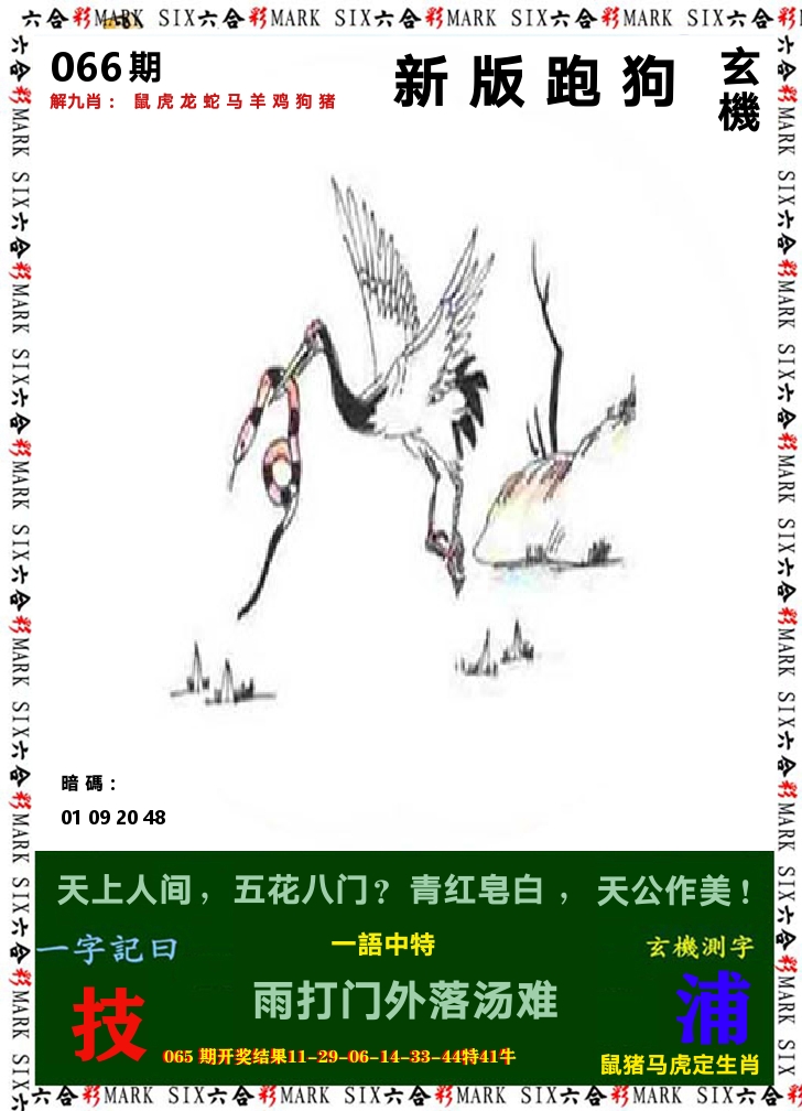 悟入其图 第66期