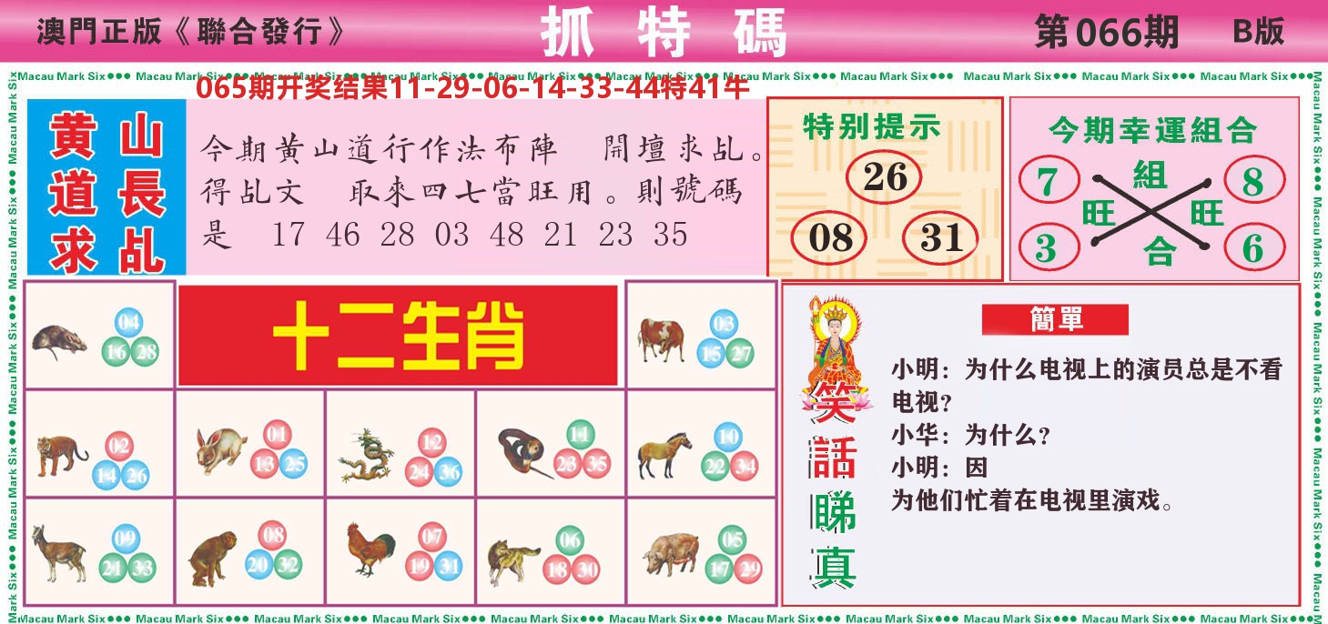 澳门抓特码B 第66期