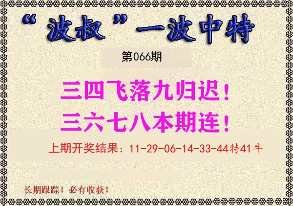 波叔中特 第66期
