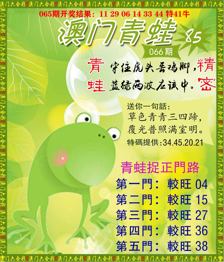 青蛙系列85 第66期