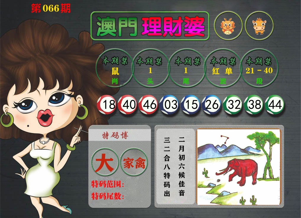 理财婆 第66期