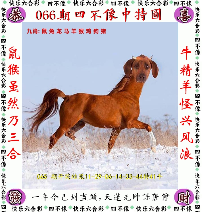 四不像 第66期