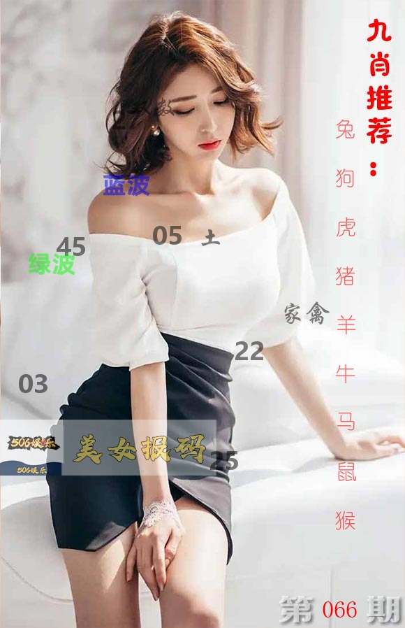 美女报码 第66期