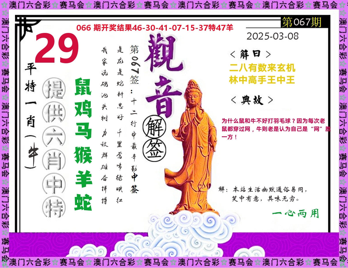 观音解签 第67期