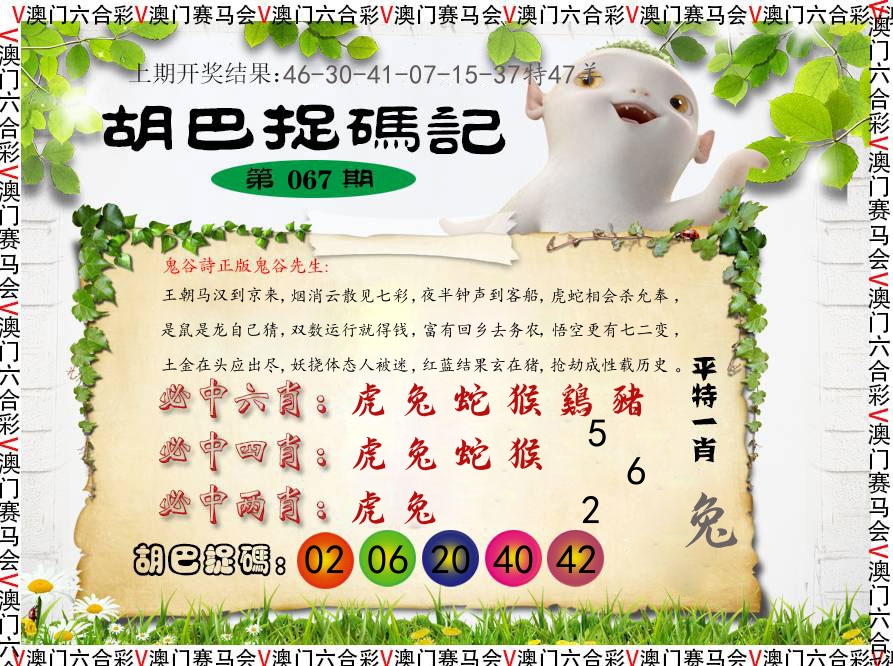 胡巴抓码记 第67期