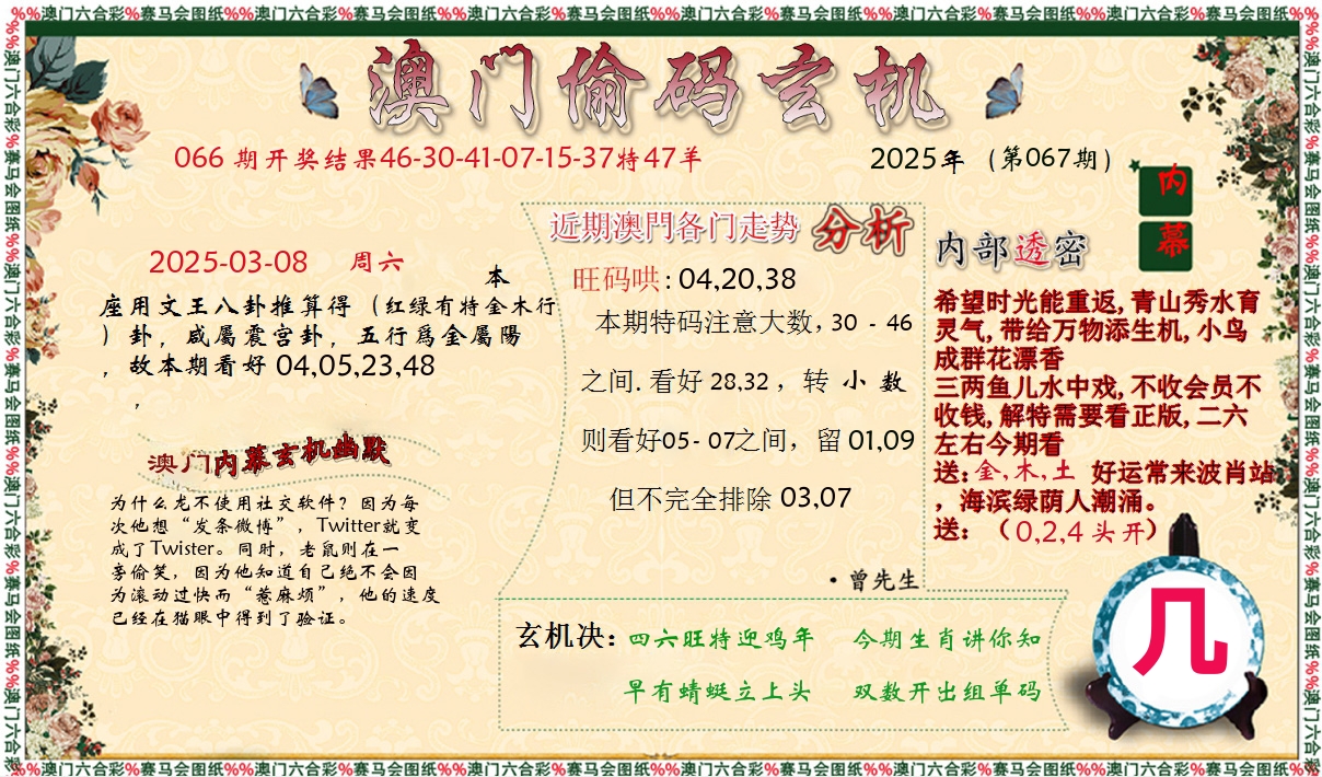 偷码玄机 第67期