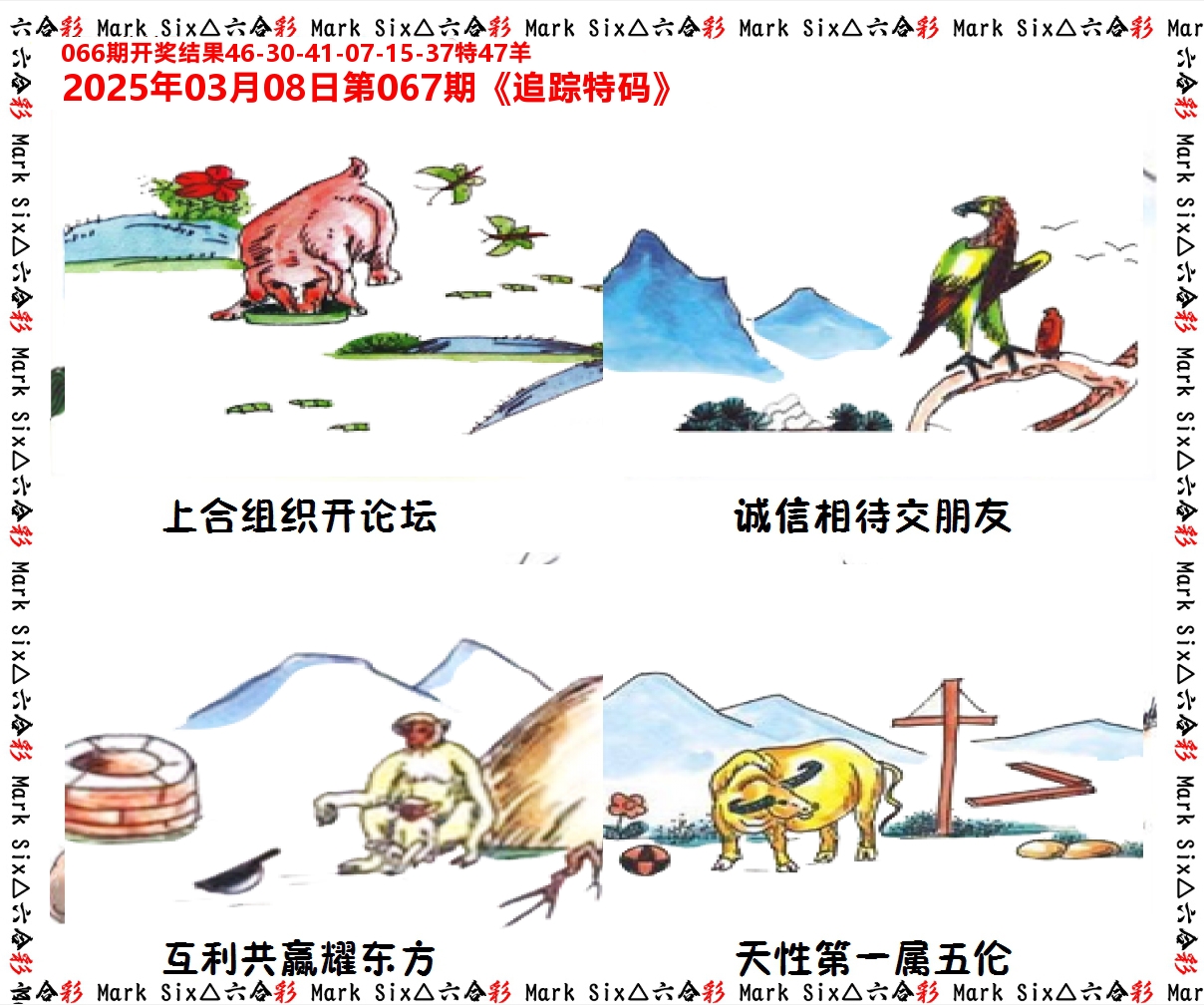 追踪特码 第67期