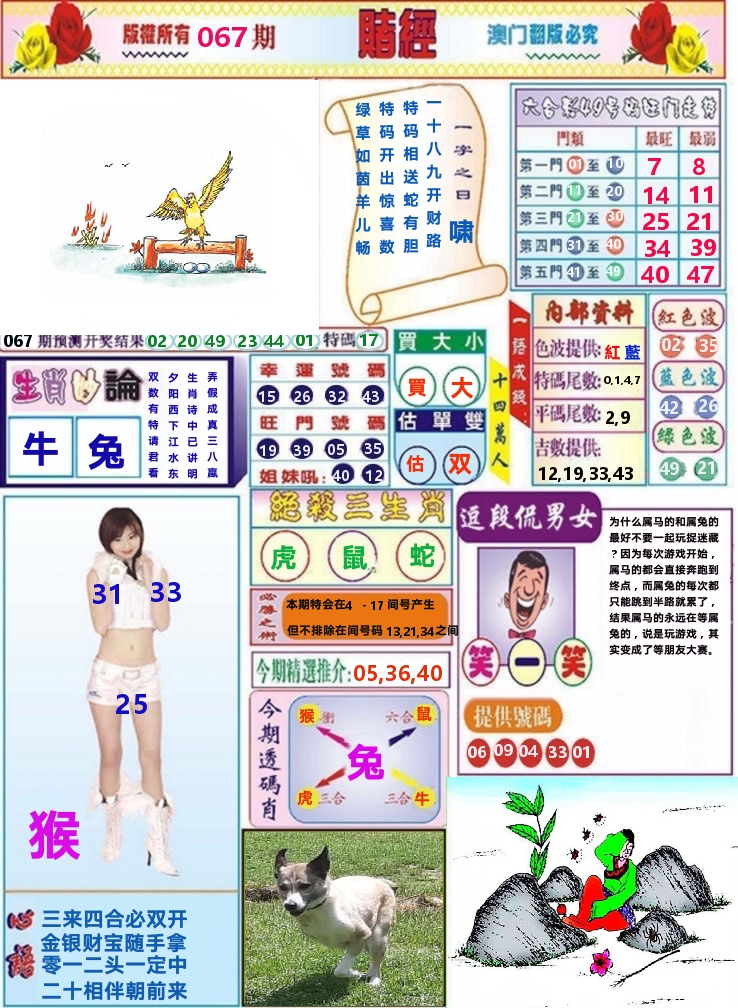 澳门赌经 第67期