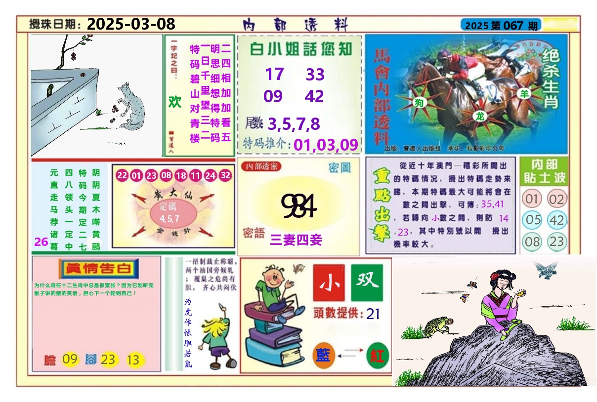 澳门内部透料A 第67期