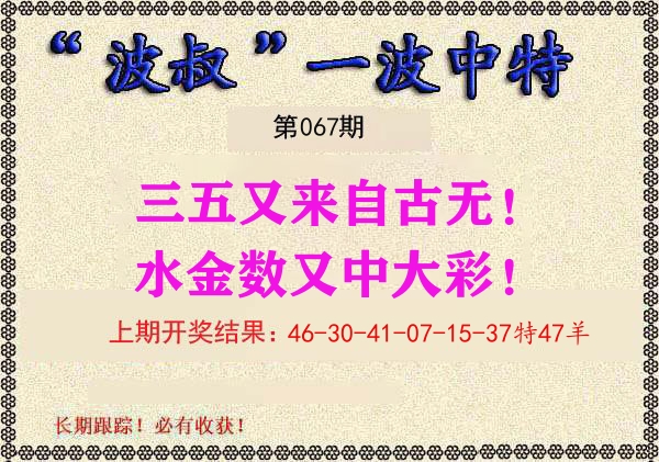 波叔中特 第67期