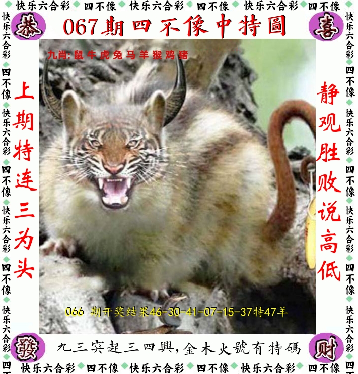四不像 第67期
