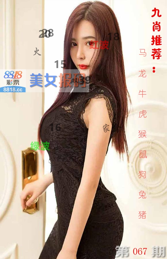 美女报码 第67期