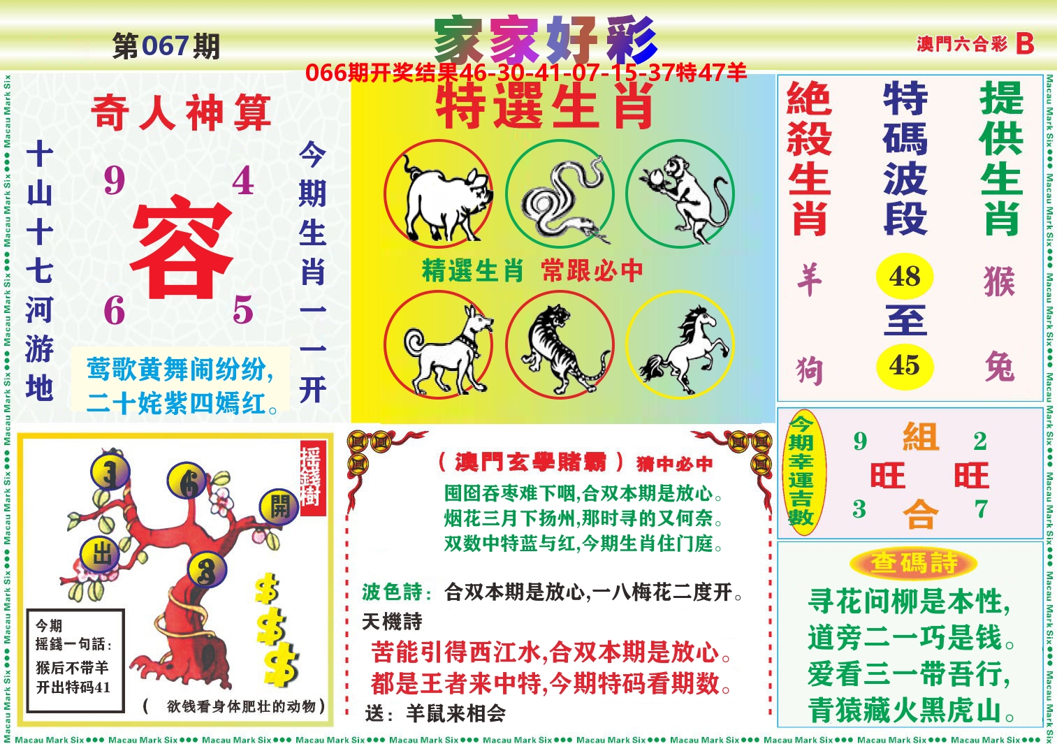 家家好彩B 第67期