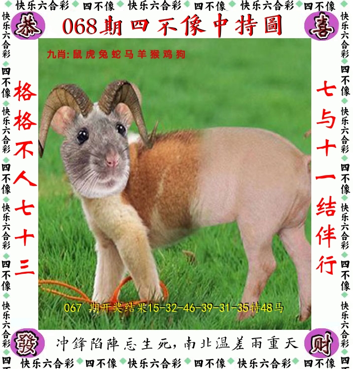 四不像 第68期