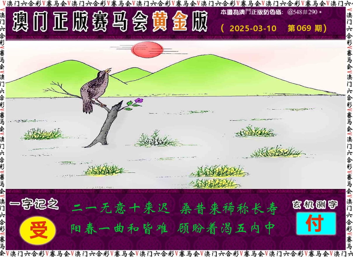 赛马会黄金版 第69期