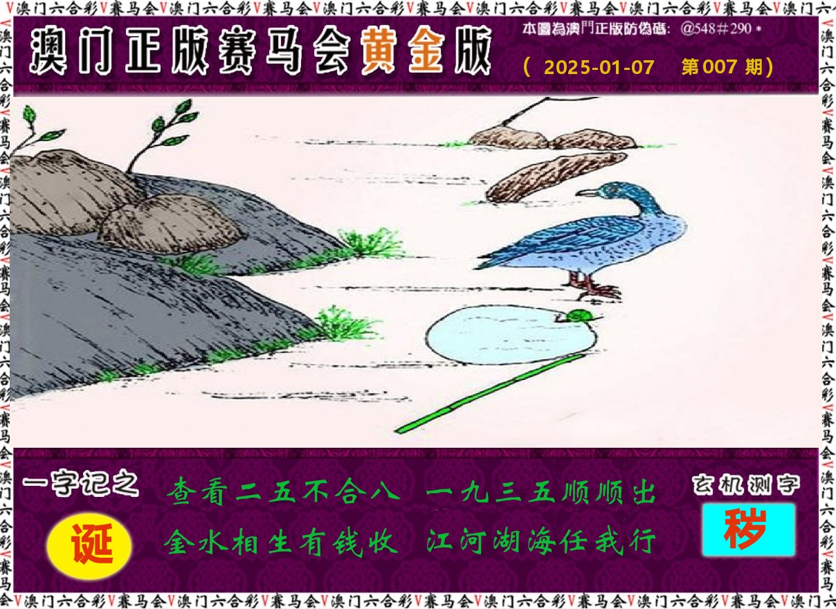 赛马会黄金版 第7期