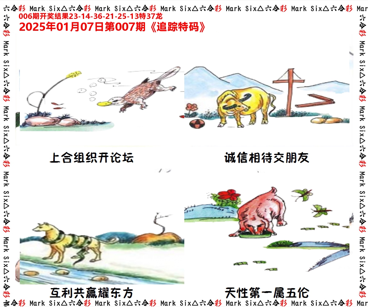 追踪特码 第7期