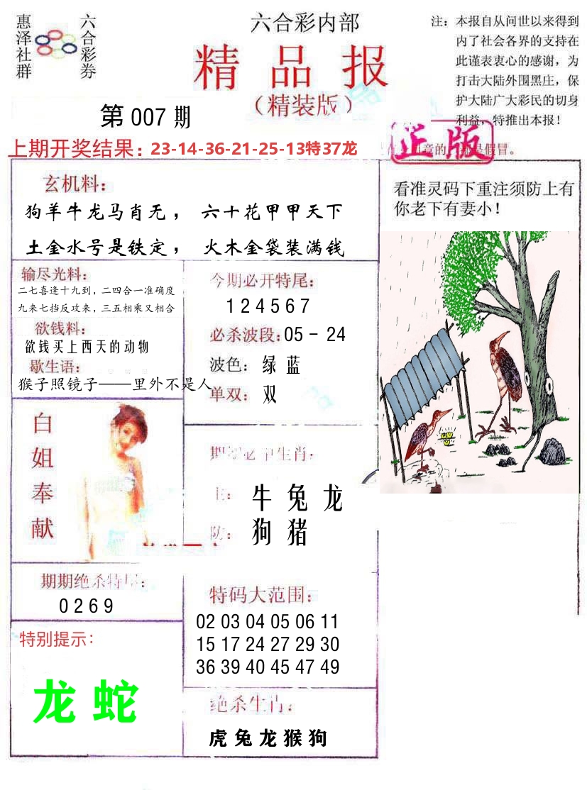 精品报 第7期