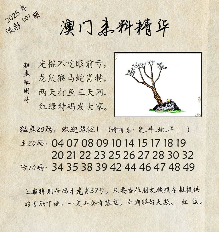 精华来料 第7期