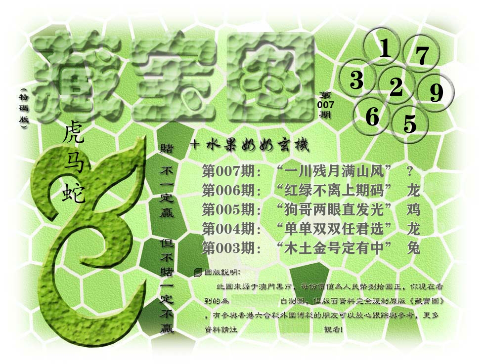 藏宝图奶奶玄机 第7期