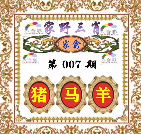 家野三肖 第7期