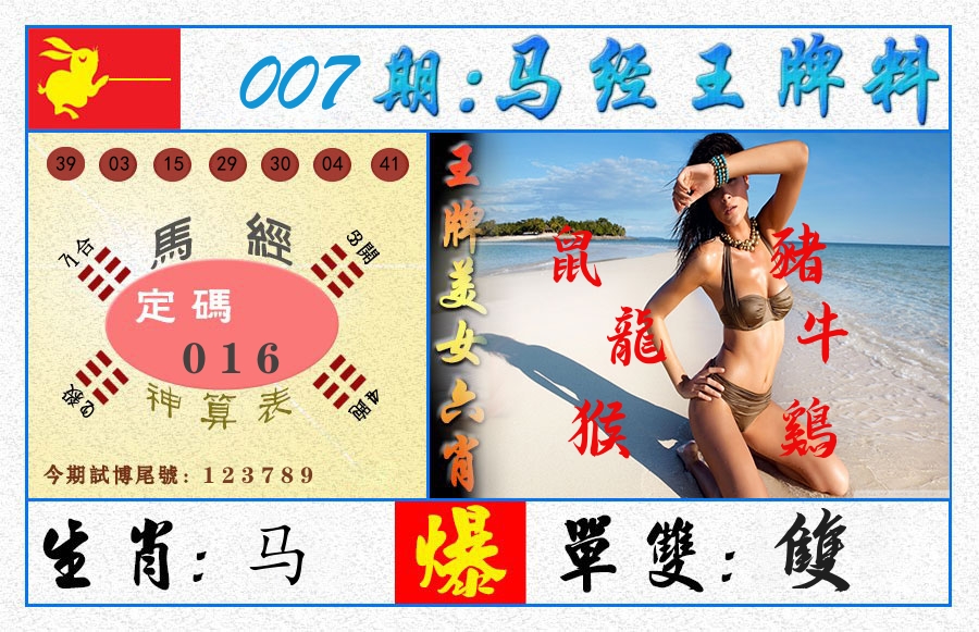 澳门王牌料 第7期
