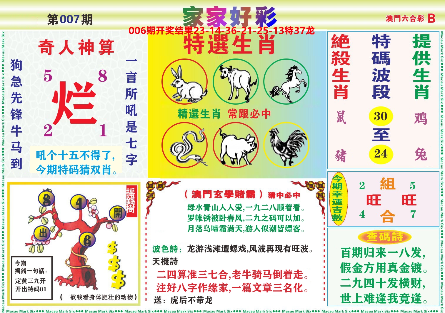 家家好彩B 第7期