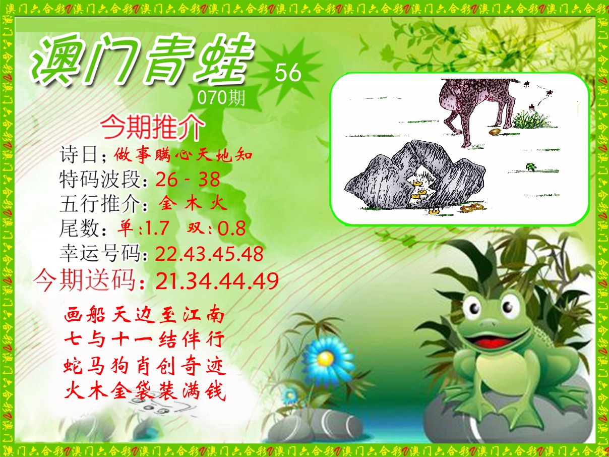 青蛙系列56 第70期