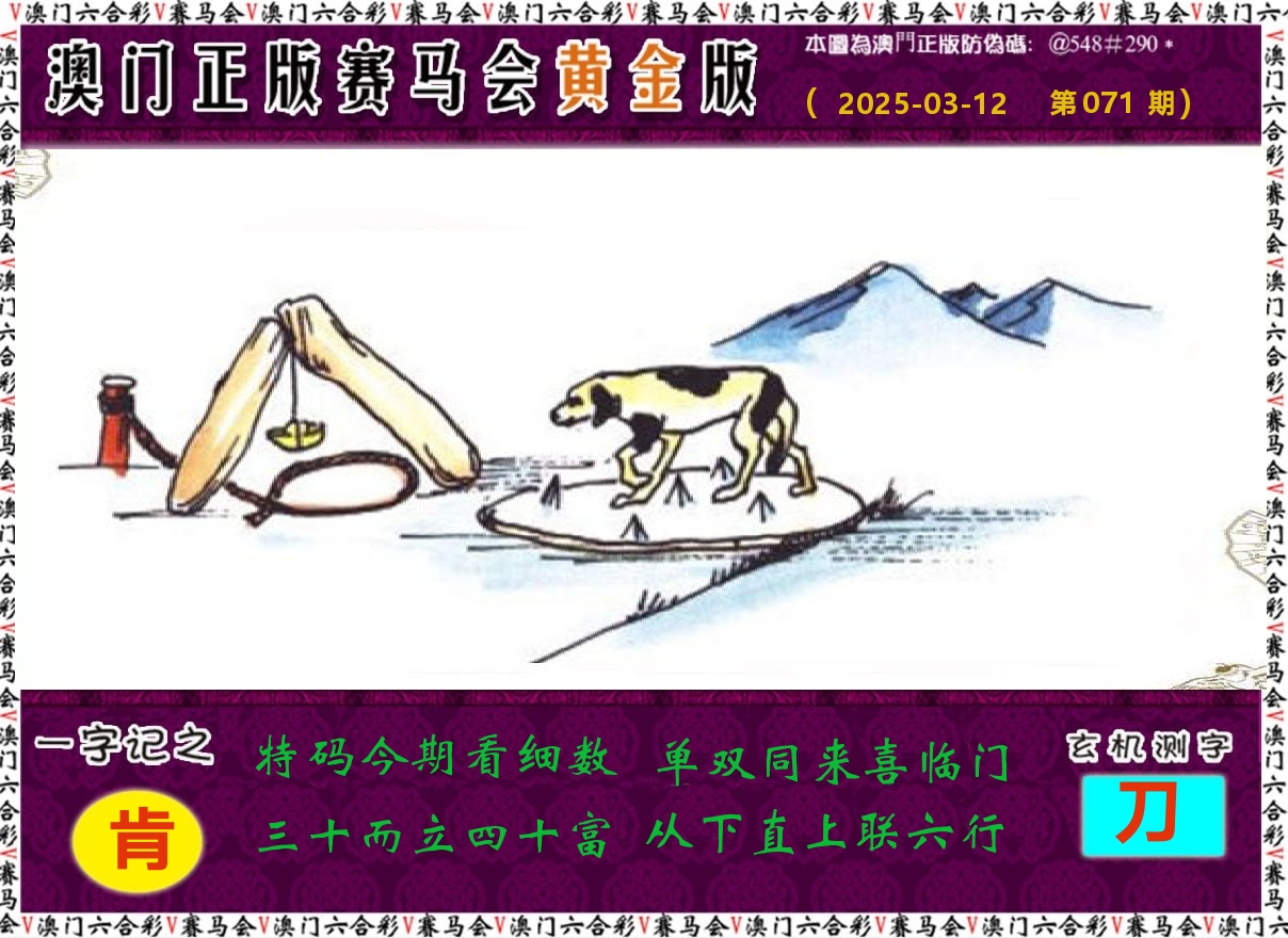 赛马会黄金版 第71期