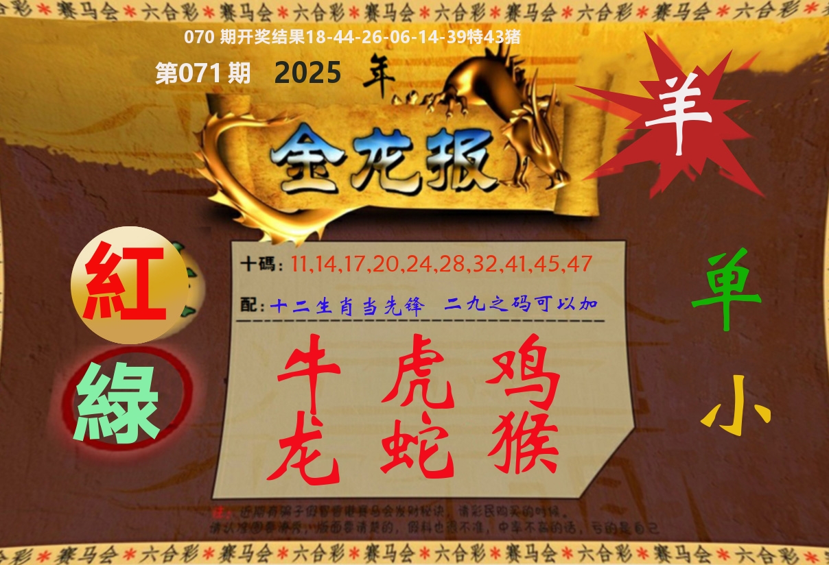 金龙报 第71期