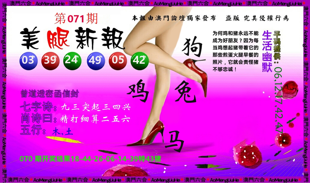美腿新报 第71期