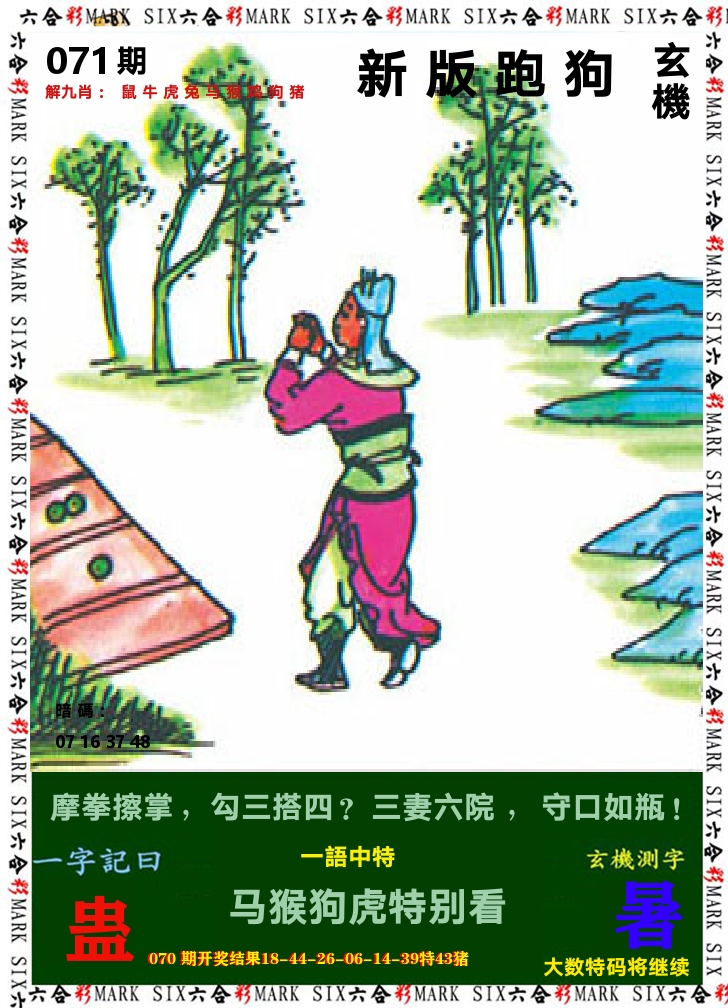 悟入其图 第71期