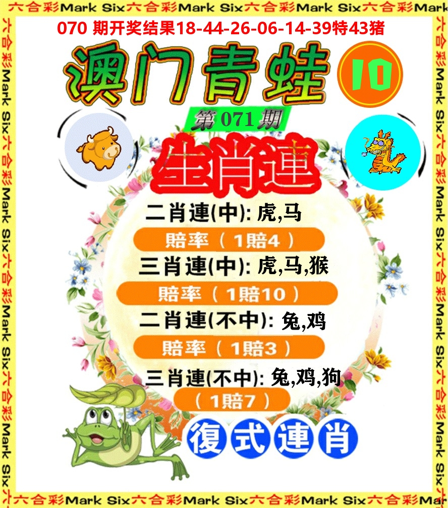 青蛙系列10 第71期