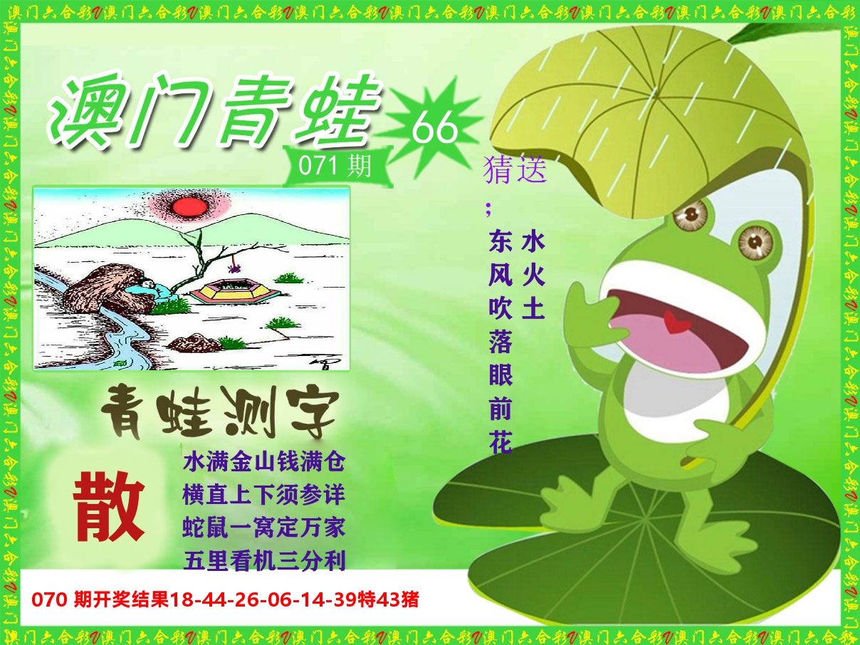 青蛙系列66 第71期
