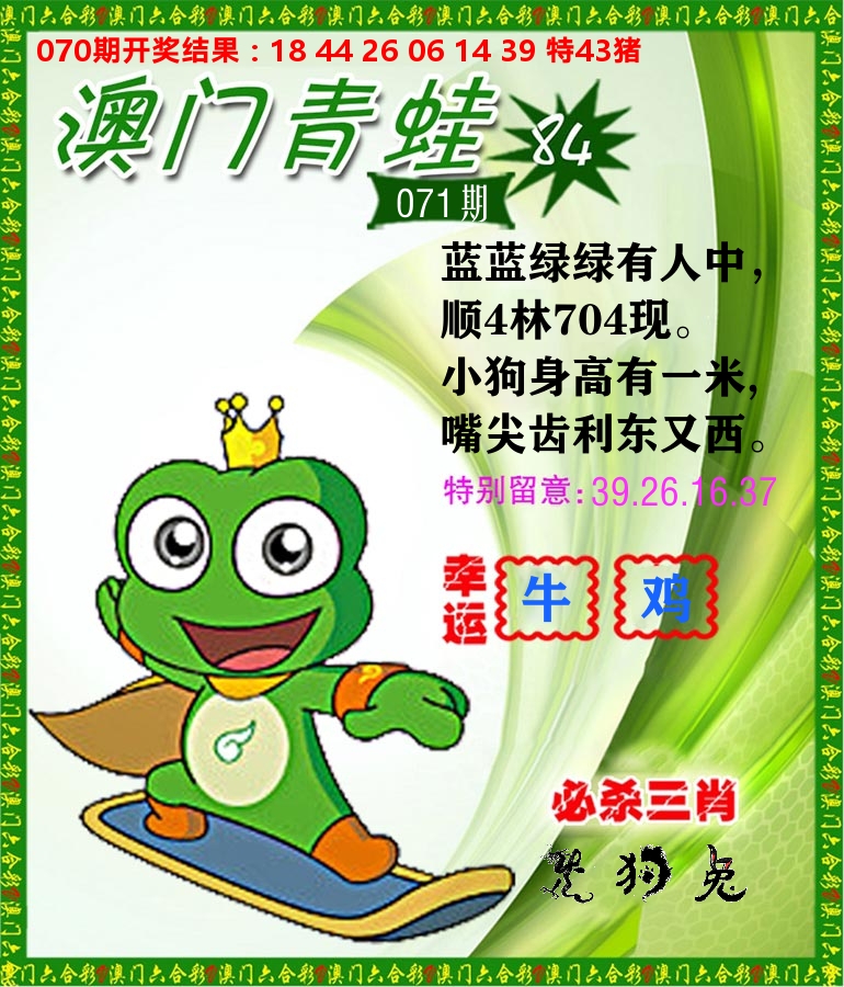 青蛙系列84 第71期