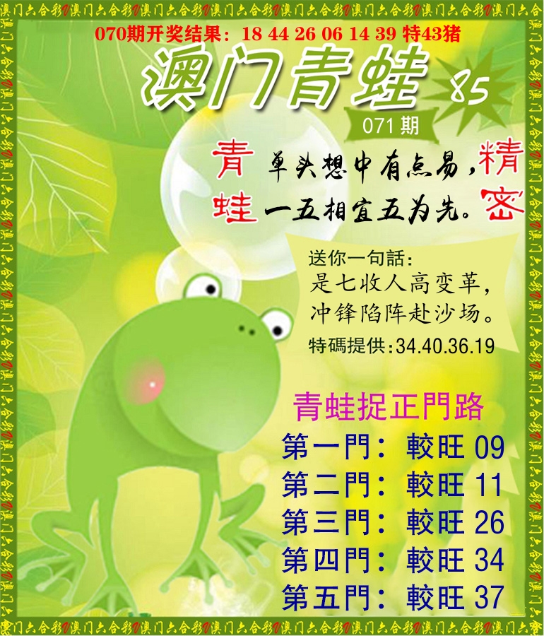 青蛙系列85 第71期