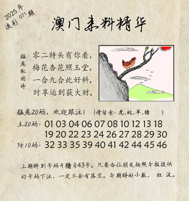 精华来料 第71期