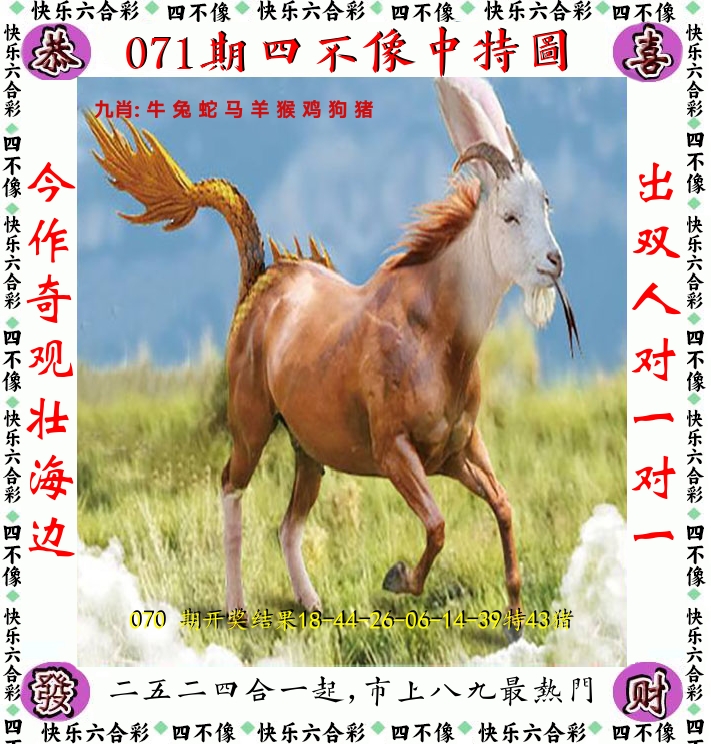 四不像 第71期