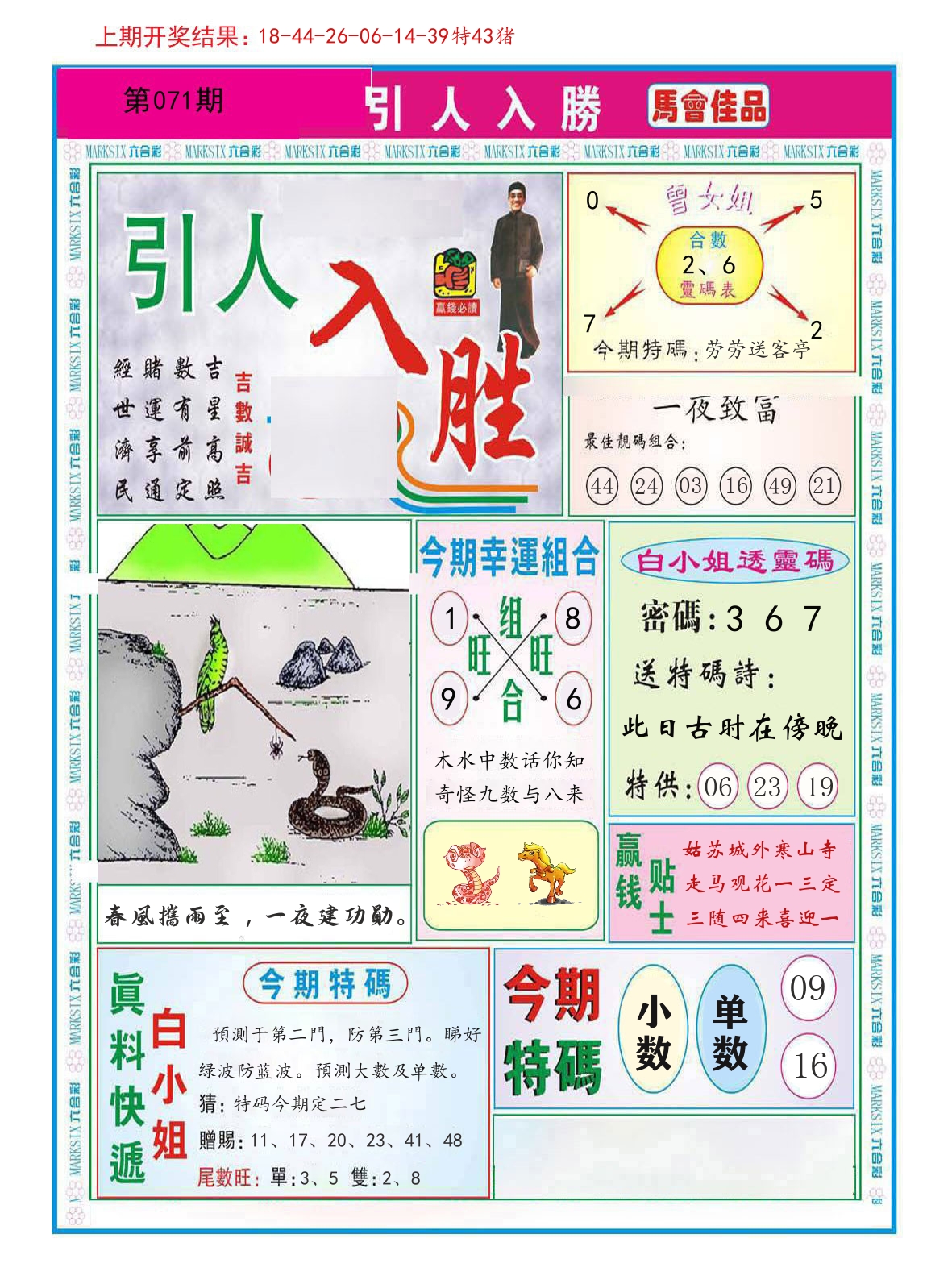 引人入胜 第71期
