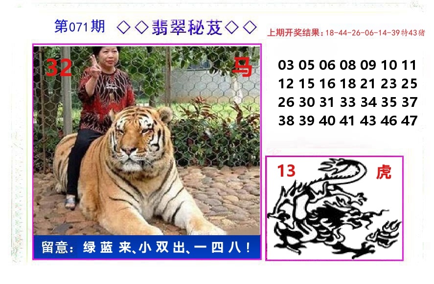 翡翠秘芨 第71期