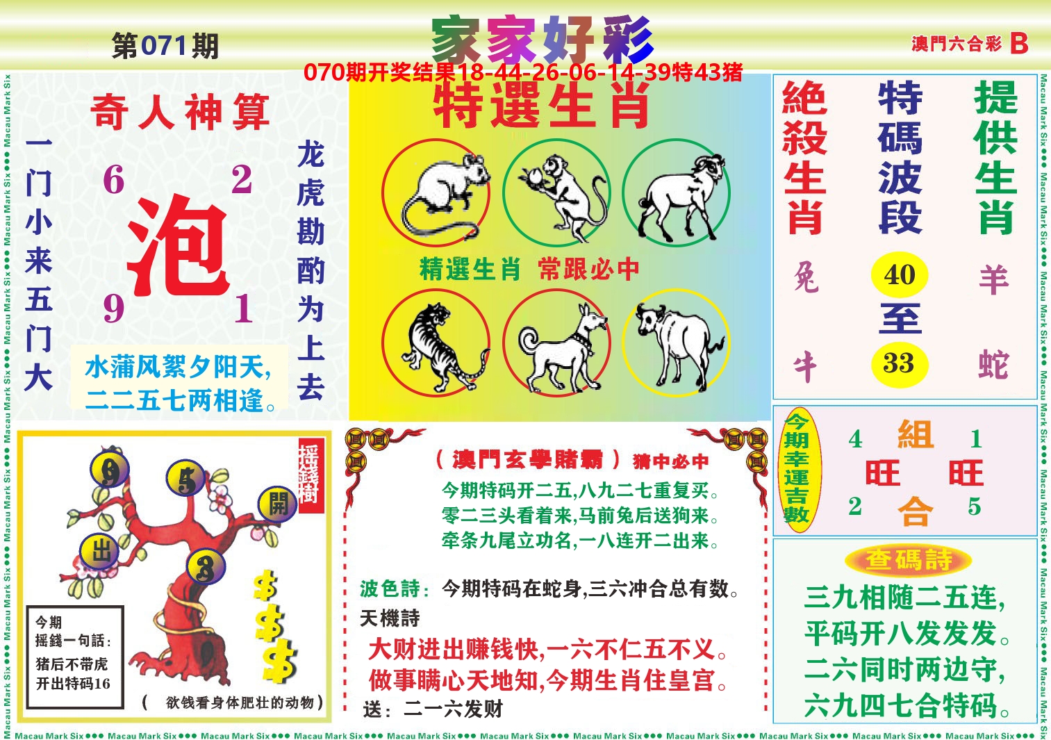 家家好彩B 第71期