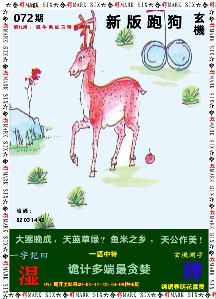 悟入其图 第72期