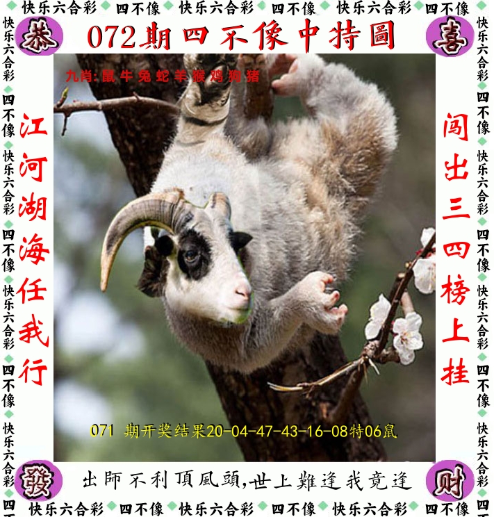 四不像 第72期