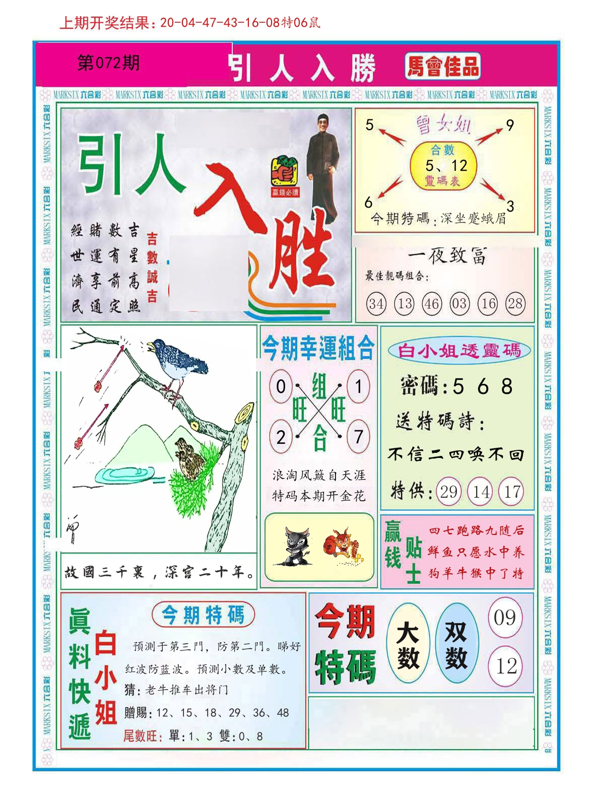 引人入胜 第72期